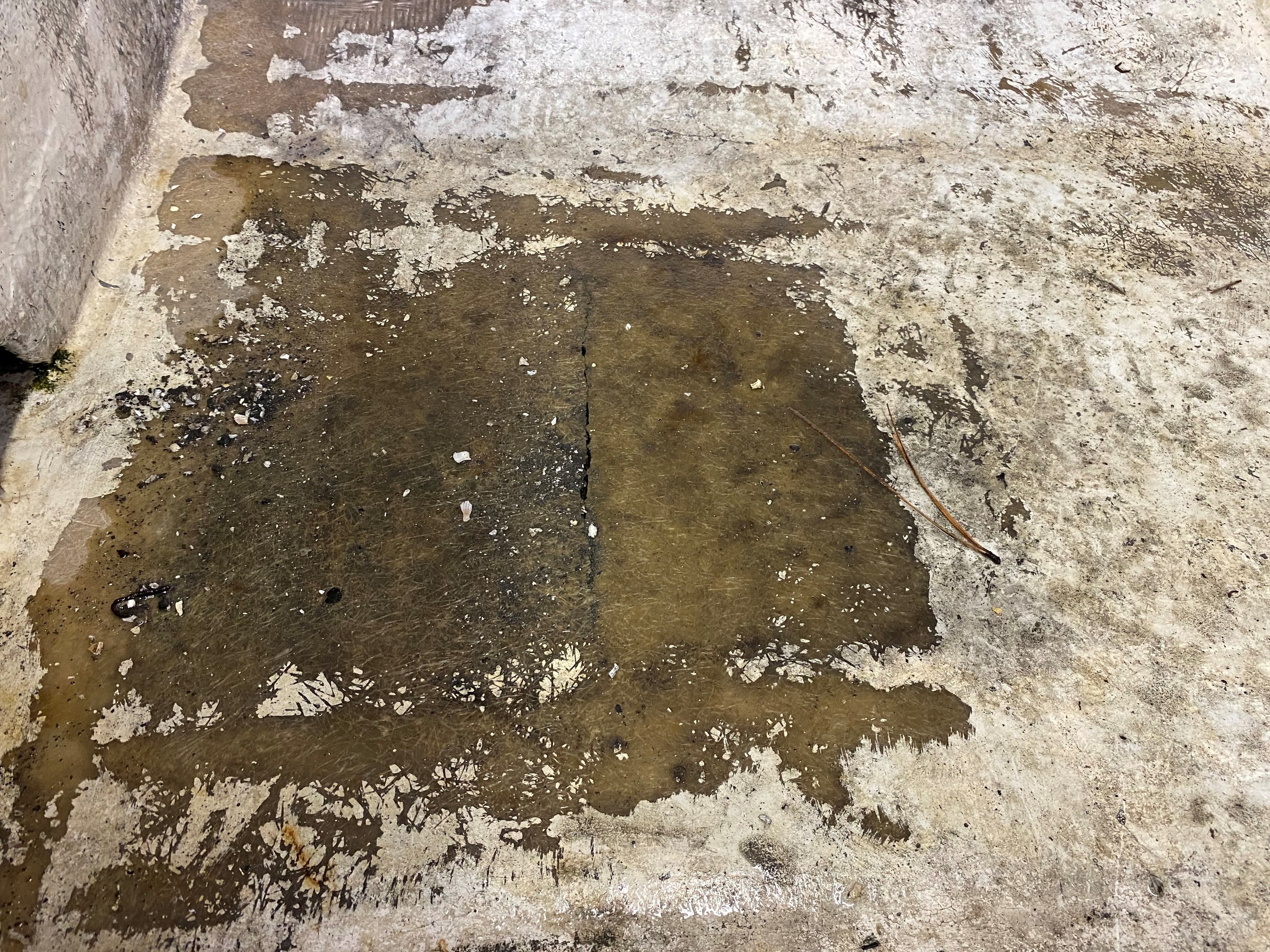 Fiberglass Crack